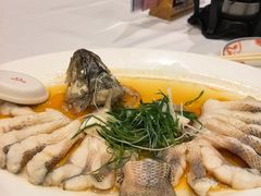 -稻香酒家·35年老字号(侨光店)