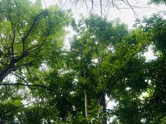-第壹宝贝儿童教育中心(朝阳校区)