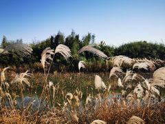 -良渚古城遗址公园