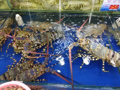 -东江海鲜酒家(艺都分店)