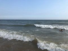 -北戴河东海水浴场