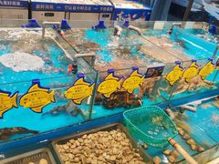 -海铺·渔家虾水饺(皇姑店)