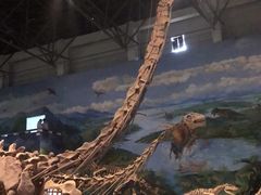 -自贡恐龙博物馆