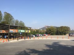 -上海佘山国家森林公园东门地面停车场
