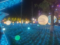 -洋湖国家湿地公园