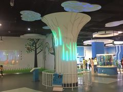 -扬州科技馆