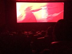 -卢米埃影城(合生广场IMAX店)