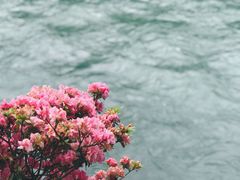 -都江堰景区