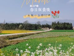 -云南勐巴娜西珍奇园
