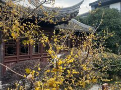 -东山雕花楼