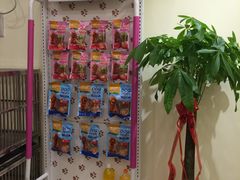 店内环境-樱桃家的宠物店(君安花园店)