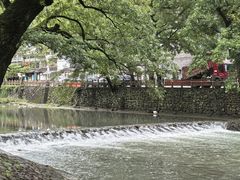 -鹿亭中村
