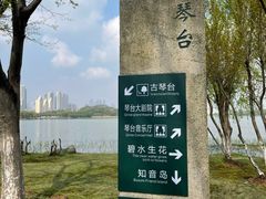-古琴台