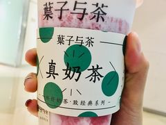 -叶子与茶(苏宁广场店)