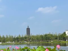 -西海子公园