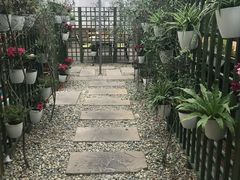 -桉树林A coffee 森林餐厅(三圣乡店)