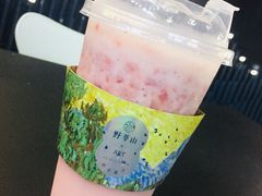 -野萃山·潮汕厚果汁(十亩地店)
