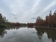 -白鹭湾湿地公园