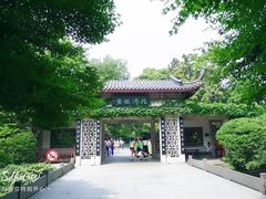 -西湖外事游船(花港观鱼码头)