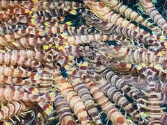 -三旗百汇商品城