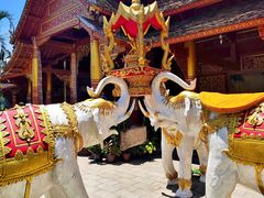 -西双版纳傣族园-曼春满佛寺