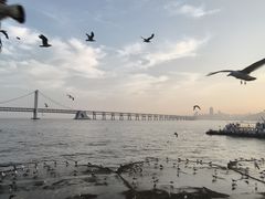 -星海广场
