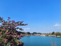 -水濂山森林公园