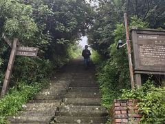 -武陵山森林公园