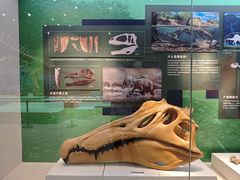 -国家自然博物馆