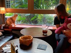 -咖法森林·咖啡  酒吧(天河店)