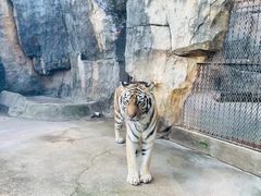 -南昌动物园