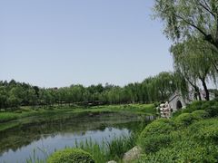-西安曲江寒窑遗址公园