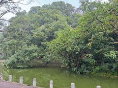 -人民公园(罗湖区)