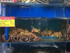 水产区-蚝专家(北滘店)