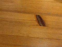 -青春分食(仙林大学城店)
