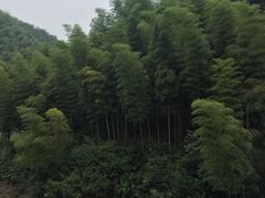 -将军关探险漂流