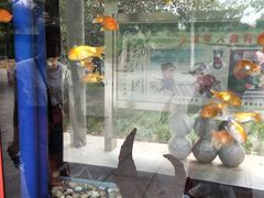 -石家庄市动物园