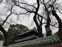 -北京国子监胡同
