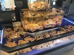 -蟹道乐(道顿堀本店)