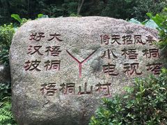 -梧桐山风景名胜区