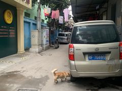 -吴长子卤菜馆(统一街店)