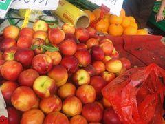 -大学城夜市大排档(凤栖路店)