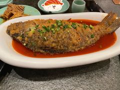 颐祥焖鲤鱼-河东颐祥阁(世贸店)