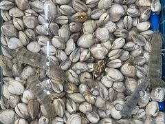-红月湾海鲜饭店•沙滩海景(双月湾店)
