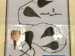 -杭州市萧山区中医院