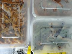 -春来和(汉城南路店)