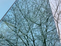 -龙美术馆西岸馆-停车场