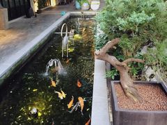 -T館·花园艺术餐厅