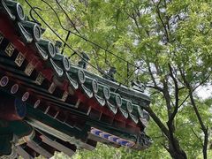 -潭柘寺景区