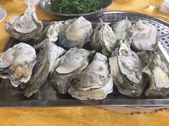 特大蒸生蚝-蚝专家(北滘店)